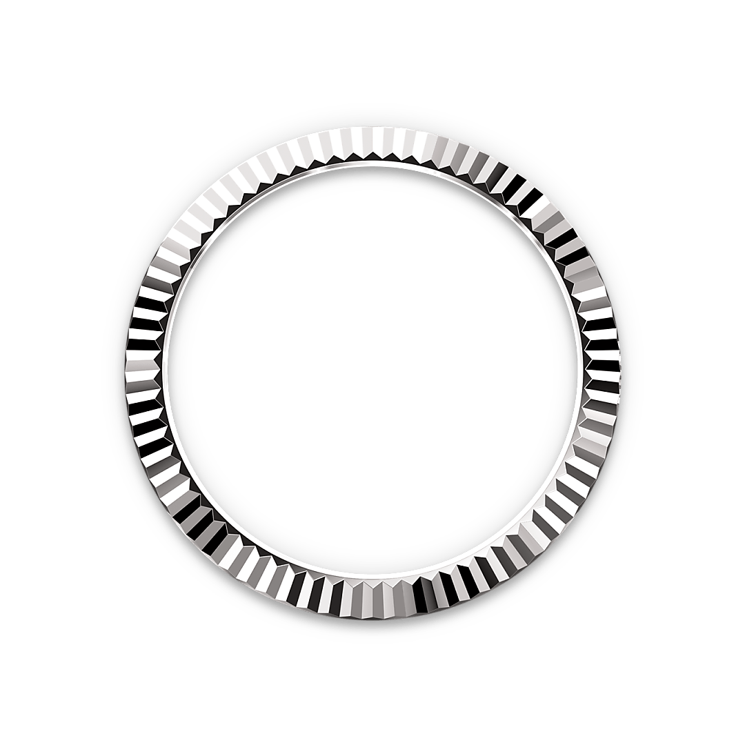 Bezel Berjejalur Rolex - Swee Cheong Watch