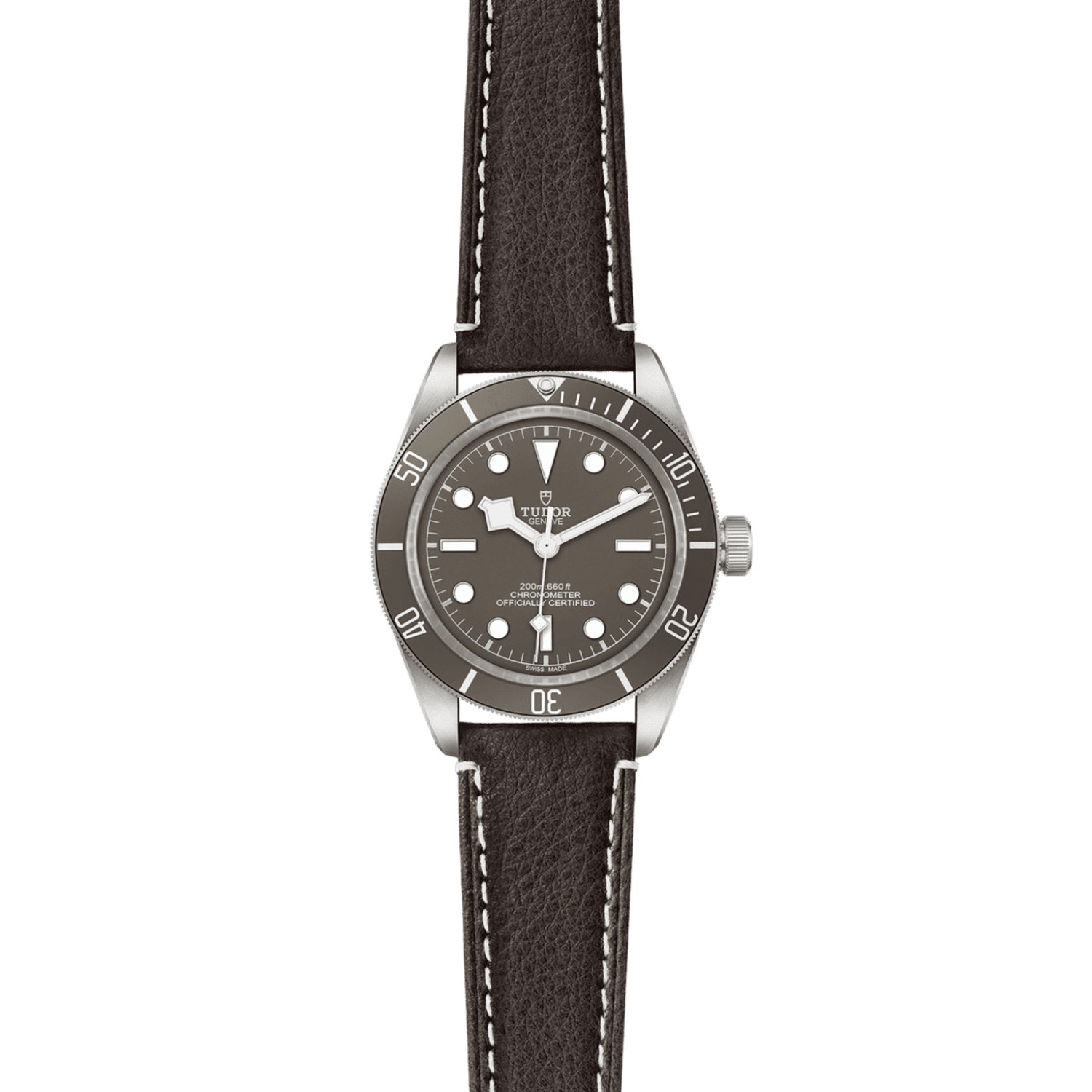 TUDOR Black Bay 58 925 M79010SG-0001