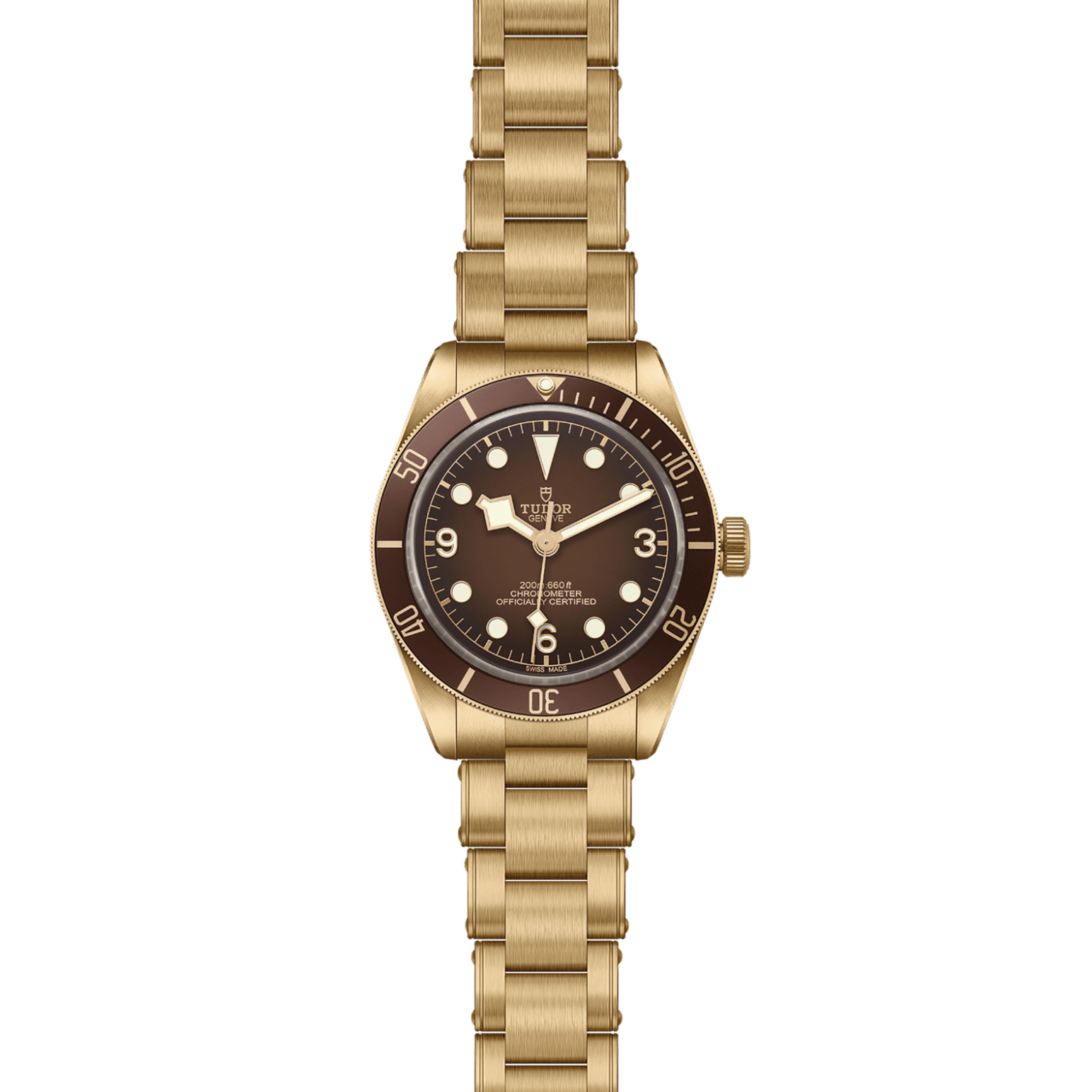 TUDOR Black Bay 58 Bronze M79012M-0001